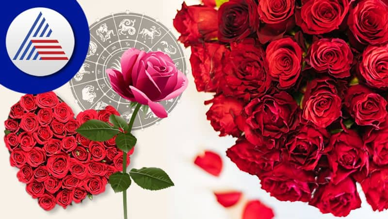 Rose Flower Remedies to get prosperity luck with love