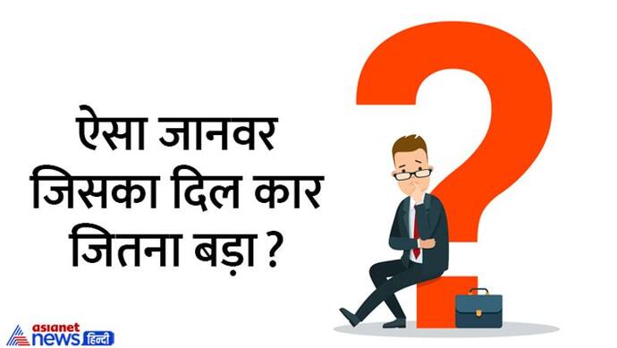 किस जानवर का दिल कार जितना बड़ा होता है? UPSC इंटरव्यू में पूछे जाते हैं ऐसे ट्रिकी सवाल