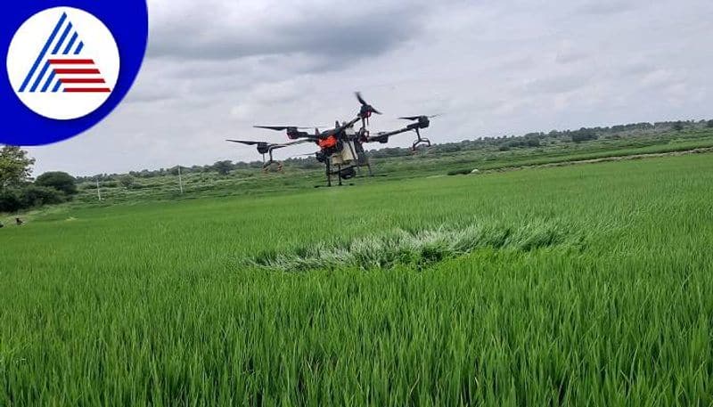 Drone Sprays Pesticide on Paddy Crop in 2.5 Minutes in Yadgir grg