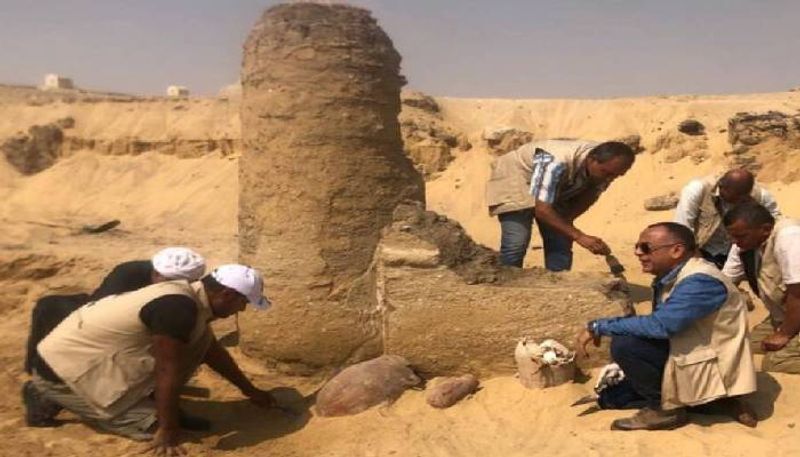 2600 year old cheese found 