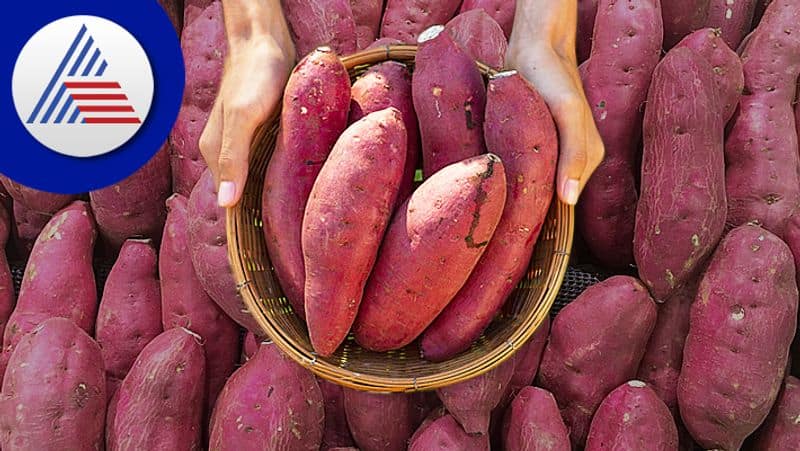 From preventing cancer to weight loss.. amazing benefits of sweet potatoes Rya.