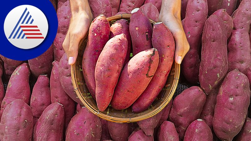 From preventing cancer to weight loss.. amazing benefits of sweet potatoes Rya.