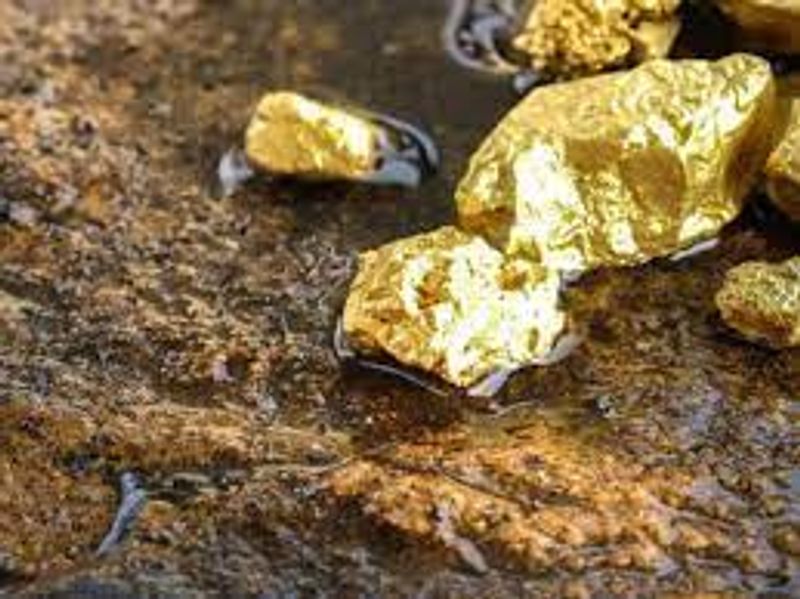 Aim to extract 750 kg of gold per year in AP through mining: Deccan Gold Mines Ltd MKA