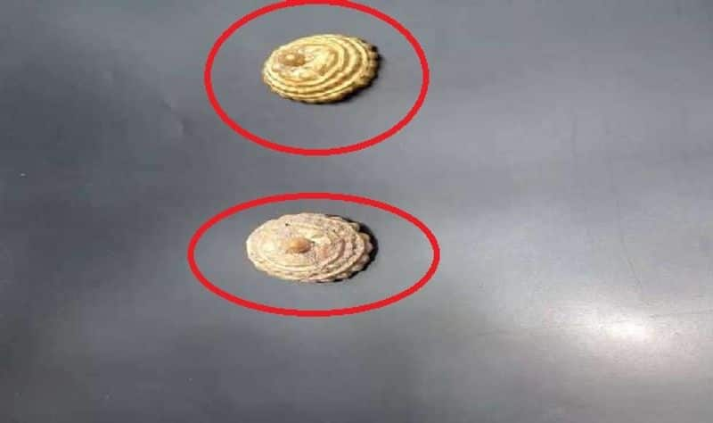 gold ornaments found in the excavations of vadakupattu