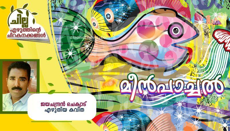 chilla malayalam poem by jayachandran Chekyad 