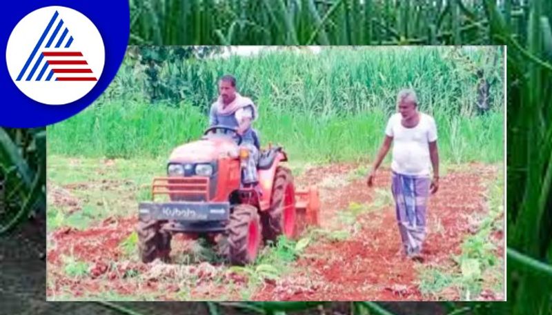 Onion price decline; A farmer who destroyed 5 acres of richly grown onions koppal rav