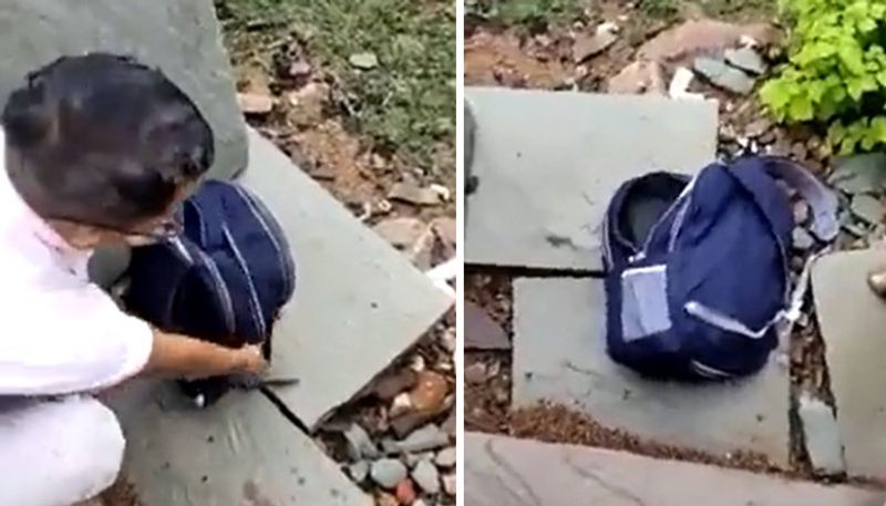 cobra found inside students school bag 