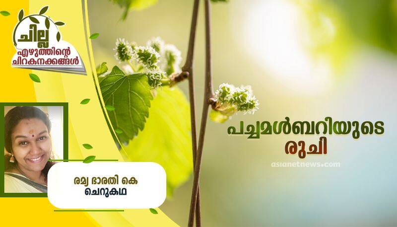 chilla malayalam short story by Ramya Bharati k 