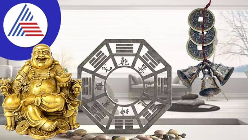 Bring home these feng shui today , then there will be a lot of increase in wealth