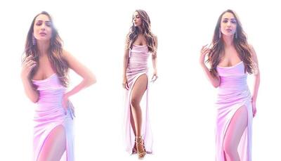 Pictures: Malaika Arora flaunts cleavage, toned legs in a lavender thigh-high slit gown