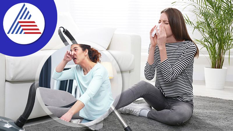 Najehal While Cleaning The House, How To Avoid Dust Allergy Vin