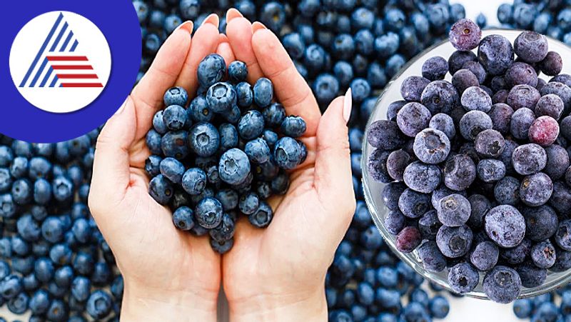 Health Benefits of blue berry that keep you fit always