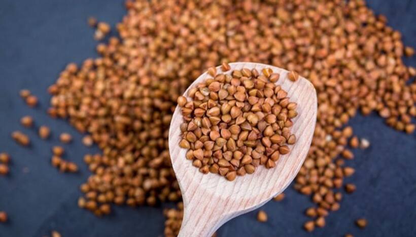 Reason behind having Kuttu during Navarati fasting, along with some delicious recipes you can prepare  