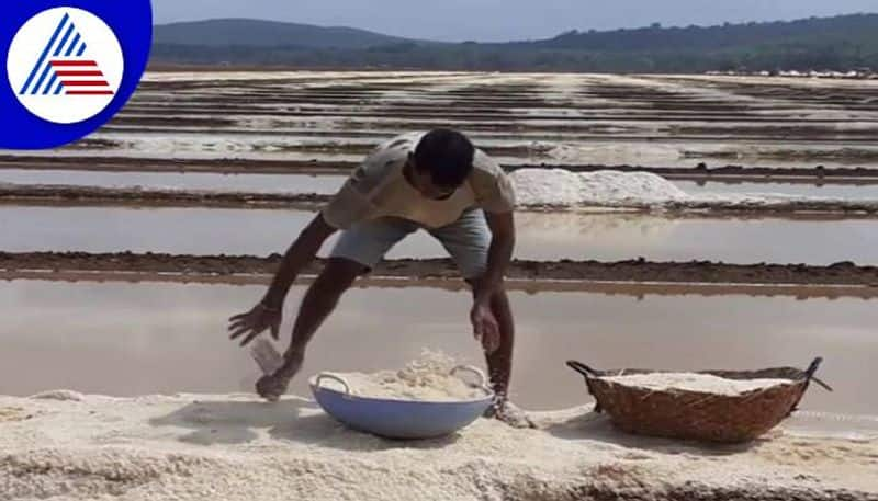 Decreased Salt Production Due to Weather Extremes in Uttara Kannada grg