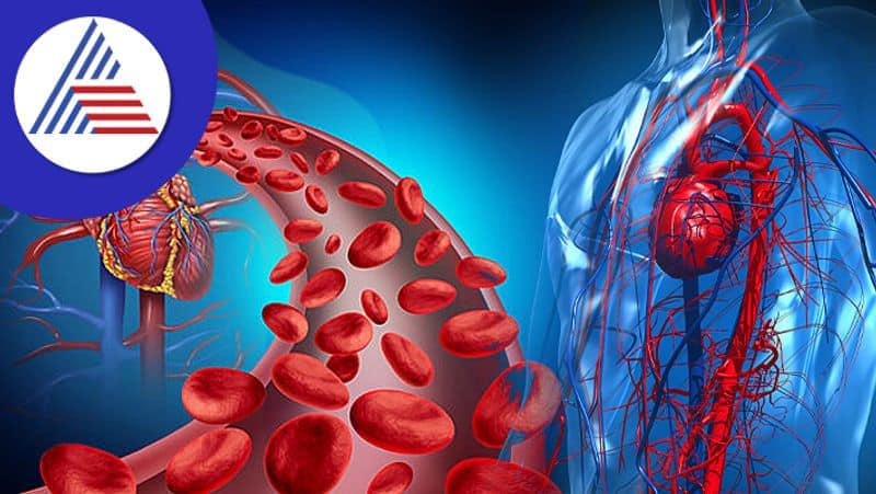 these foods to increase blood circulation in your body