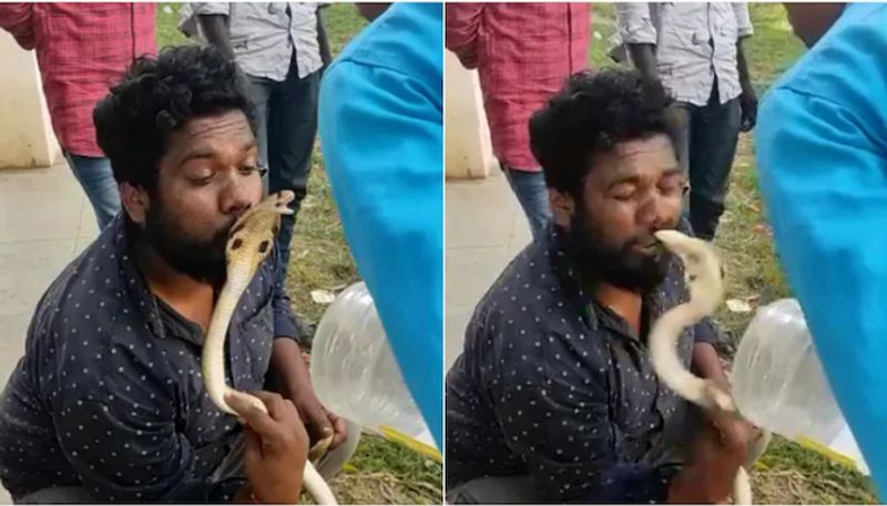 Snake bites Karnataka man on lips after he tries to kiss