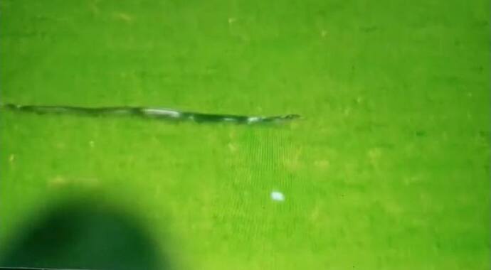 Snake In LIVE Match: लाइव मैच देखने मैदान में पहुंच गए 'नागराज',  5 मिनट रूका रहा खेल, जो जहां था वहीं ठहर गया