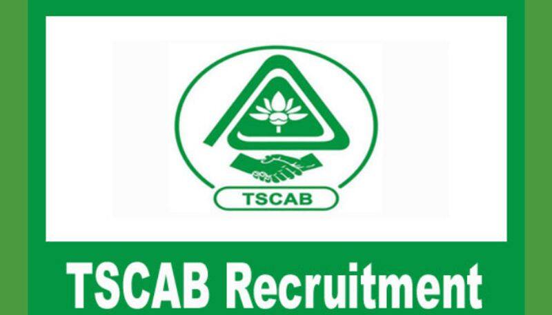 Bank Jobs Telangana State Cooperative Apex Bank TSCAB Notification Released for Staff Assistant Posts