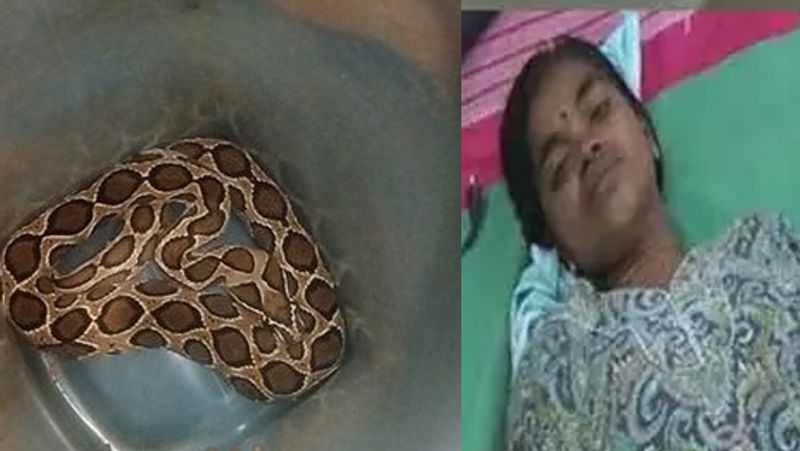 woman comes for treatment with snake bite in rasipuram government hospital 