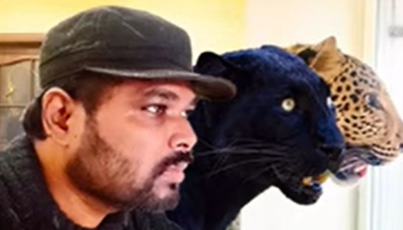 Andhra doctor appeals to India government to rescue his pet jaguar and panther from Ukraine