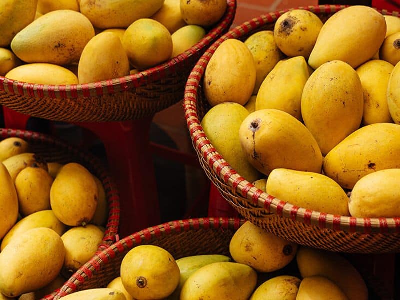   compensation Assure  to mango Farmers snr