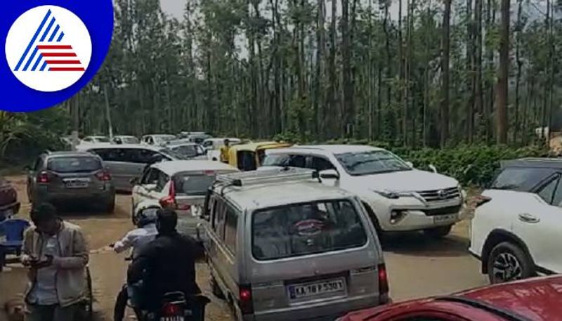 Tourists Visited to Mullayanagiri Peak in Chikkamagaluru grg