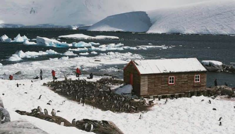 Four women selected for  unusual job in Antarctica including running post office and counting penguin