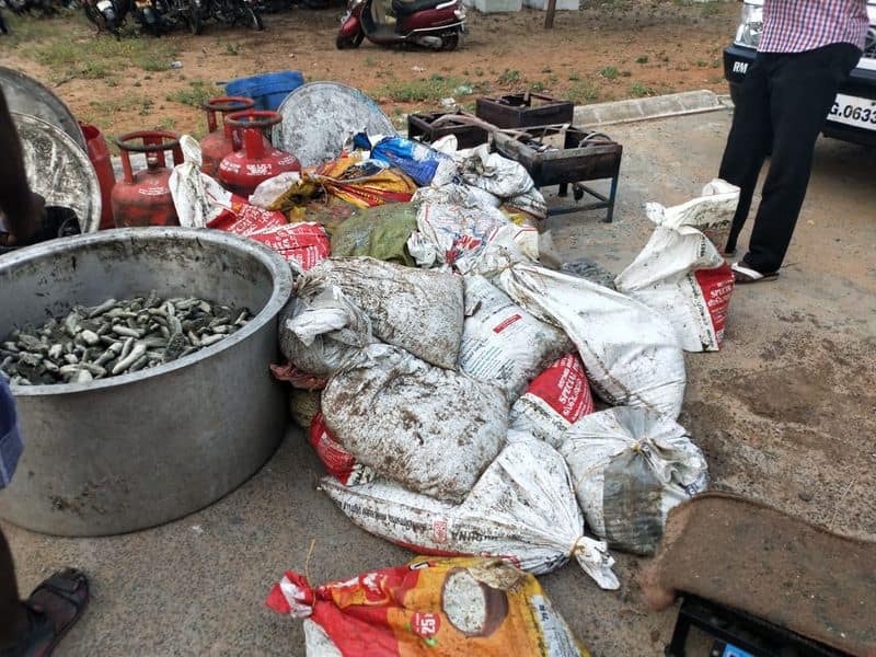 thousand hundred Kg Sea cucumber seized in ramanathapuram