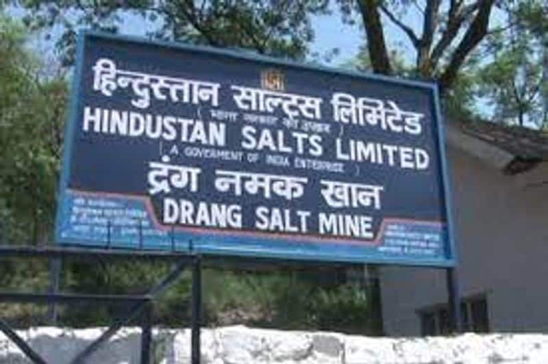 Hindustan Salts Limited Recruitment Notification 2022 for Assistant Manager and other posts 