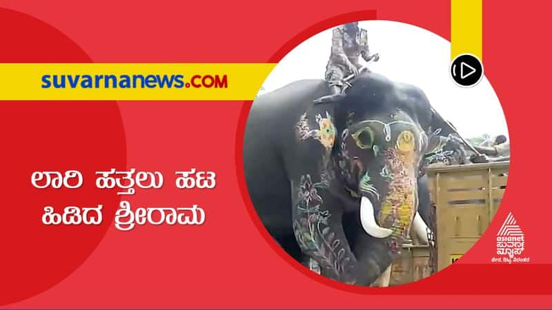 End of  Mysuru Dasara  Sri Ram elephant  refuse to board the lorry gow