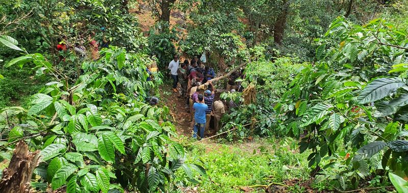 youngster drowned well who try to rescue a goat