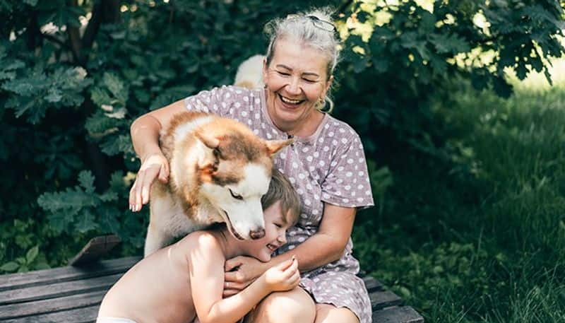 Having a dog can decrease your risk of dementia rsl