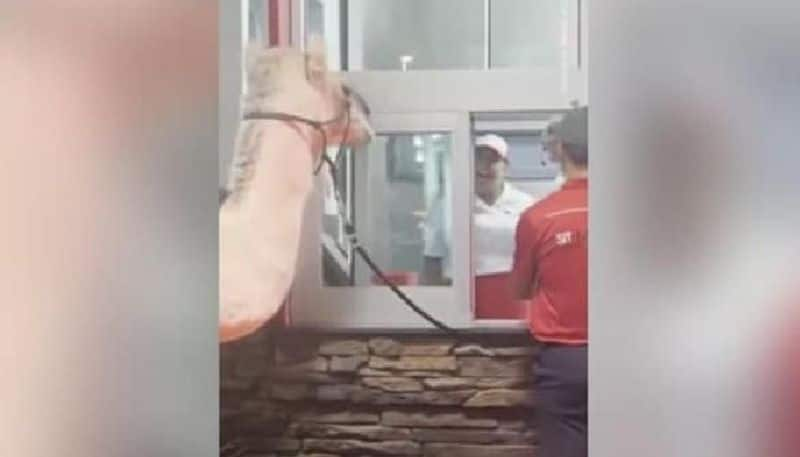 man came with camel to buy food funny video goes viral 