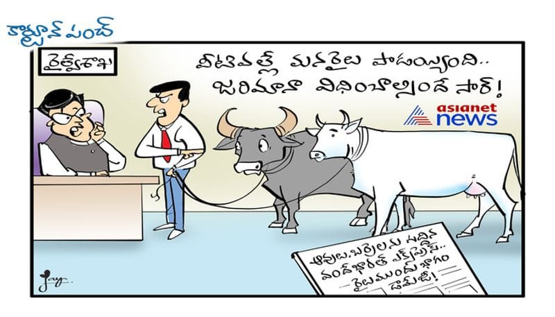 cartoon punch on Vande Bharath express hits cows