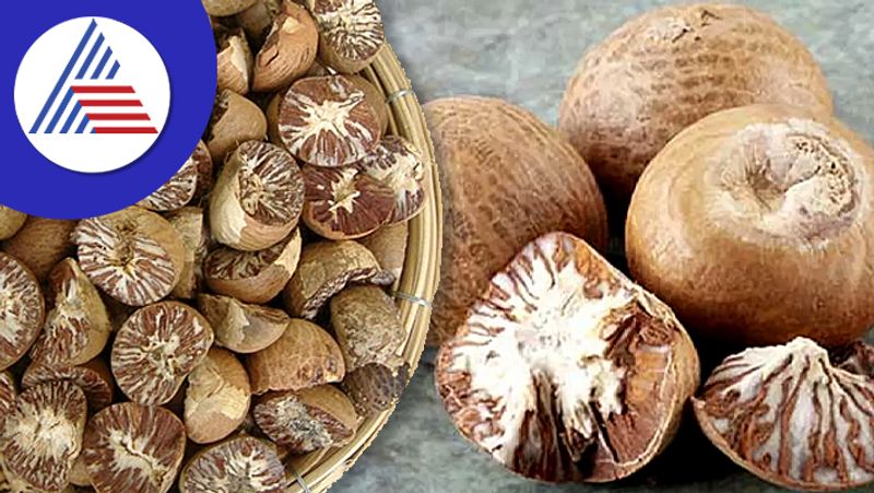 Chewing Areca Nut Daily have so many Health Benefits!