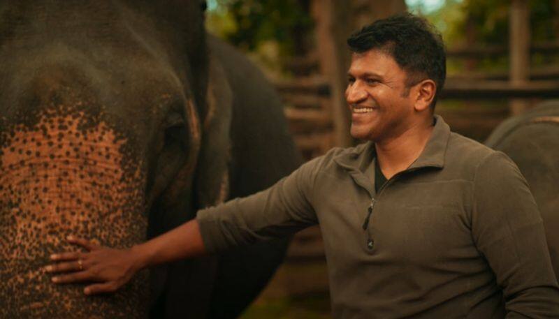 Puneeth Rajkumar a year old tweets about Gandhada gudi goes viral vcs 