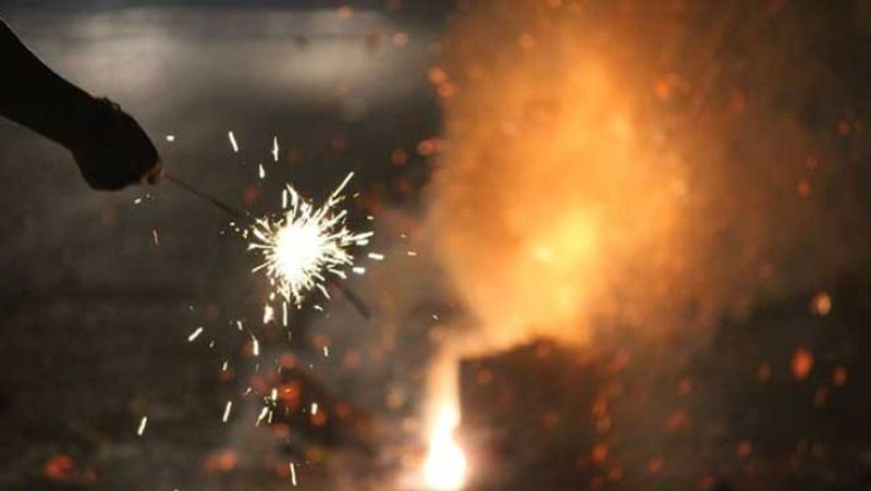 Environmentalists welcome hazardous fireworks ban snr