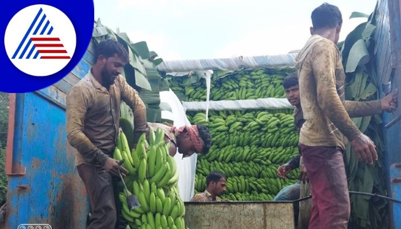 Kalaburagi farmers banana export abroad gow