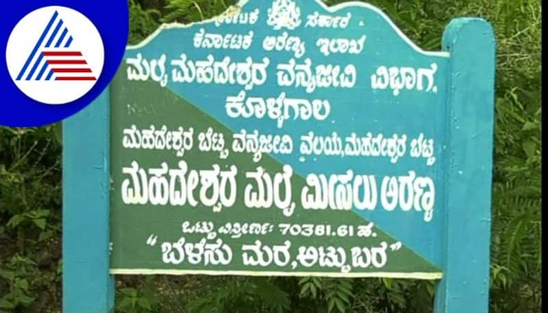 ministers oppose Male Mahadeshwara Wildlife Sanctuary as a tiger reserve forest gow