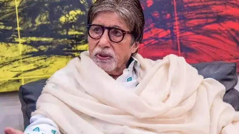 Amitabh Bachchan buys land in Alibaug. Check out other celebs who own luxurious homes in coastal town vvk