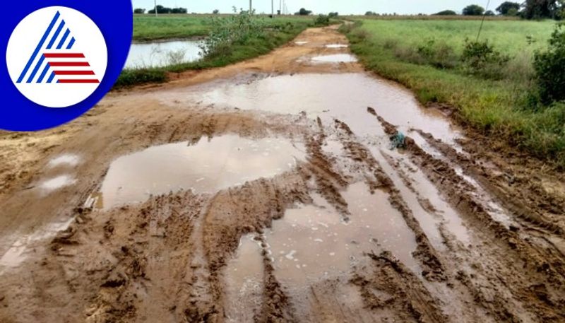 Dibbadhatti is a village deprived of road facilities davanagere rav