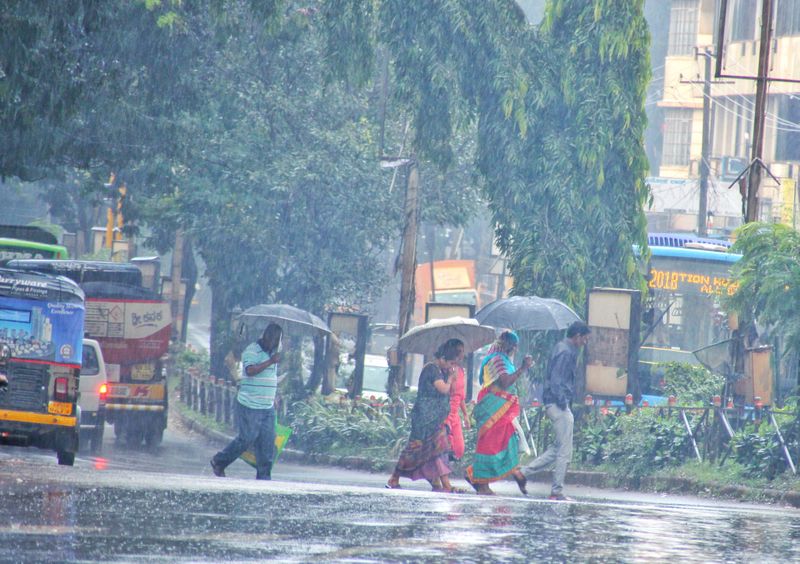 Constant rain is a problem for farmers at dharwad rv