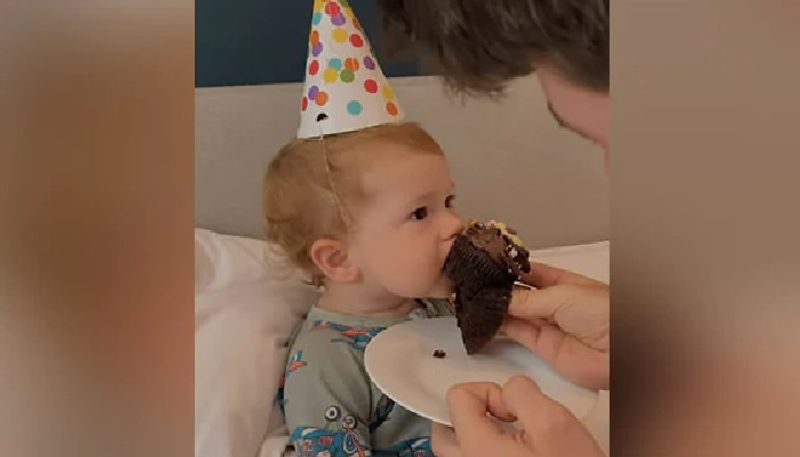 toddler tastes chocolate cake for the first time 