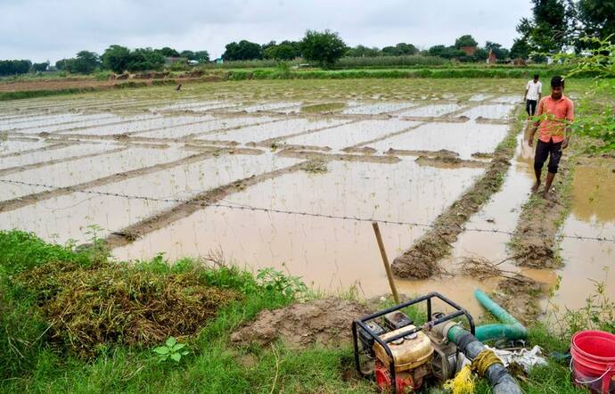 Weather Report: बेमौसम बारिश ने बिगाड़े कई राज्यों के हाल, यूपी में 1300 से अधिक गांवों में बाढ़