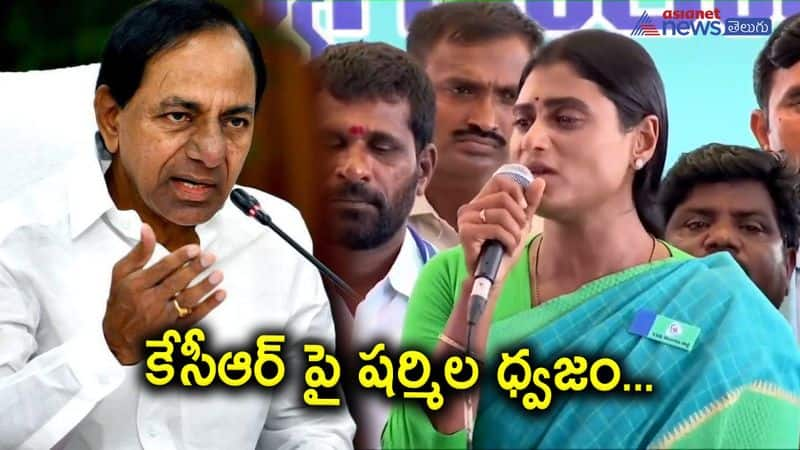 YSRTP Chief YS Sharmila Fires on CM KCR Over Unemployment in Telangana 