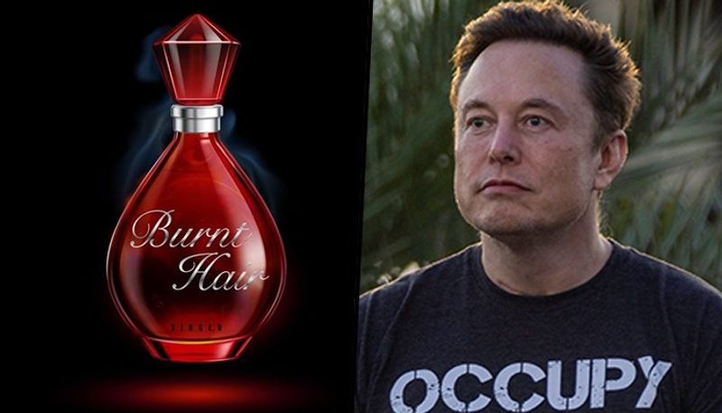 Elon Musk turns 'perfume salesman', showcases 'Burnt Hair'; Here is how much it costs AJR