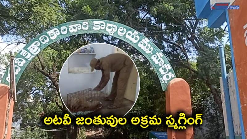 Forest Animals Illegal Smuggling Gang Arrested in Macharla Palnadu District 