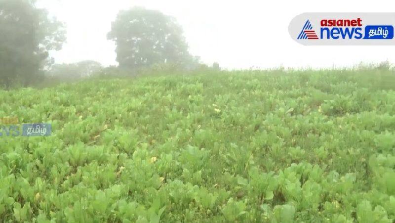 Recovery of 12 acres of encroached land in near ooty