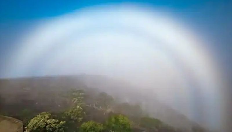 photographer shares beautiful picture of fogbow 