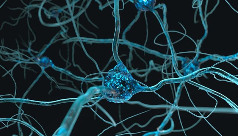 Lab grown human brain cells play video game Pong - adt 